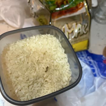 Güvendik Market'ten Aldığım Pirinçte Tekrar Böcek Çıktı, Mağduriyetim Giderilmiyor