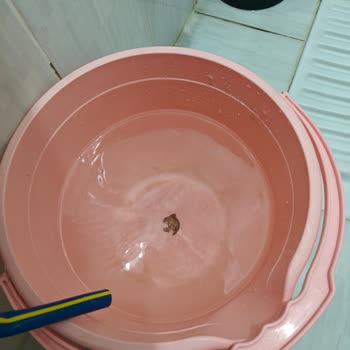 Keçiören Kanuni Mahallesi'nde Sürekli Kumlu Ve Kirli Akan Şebeke Suyu Sorunu