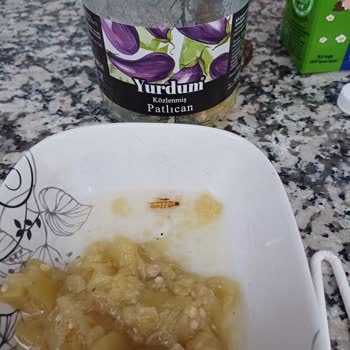 Konserve Patlıcanda Ölü Böcek Şoku BİM’de Yaşadığım Hayal Kırıklığı