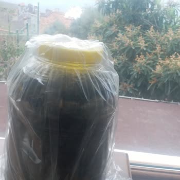 Kozalak Diyarı Gönderilen Asma Yaprağı Kötü Ve Firma İlgisiz!