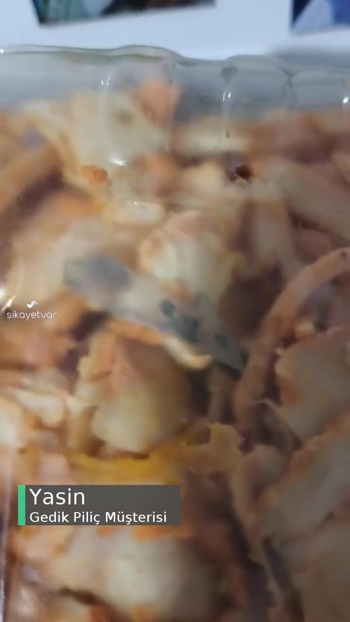 Gedik Piliç İçerisindeki Yabancı Madde videonun kapak resmi