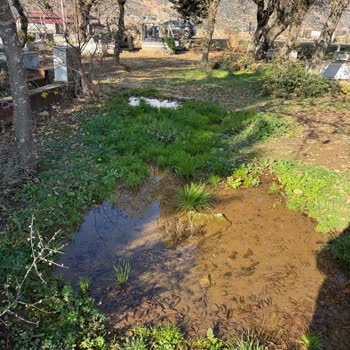 Hanağzı Mezarlığı’ndaki Bakımsızlık Ve Altyapı Sorunlarının Giderilmesini Talep Ediyorum