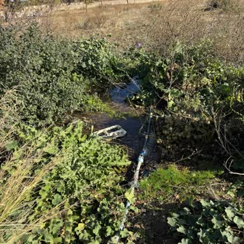 Hanağzı Mezarlığı’ndaki Bakımsızlık Ve Altyapı Sorunlarının Giderilmesini Talep Ediyorum