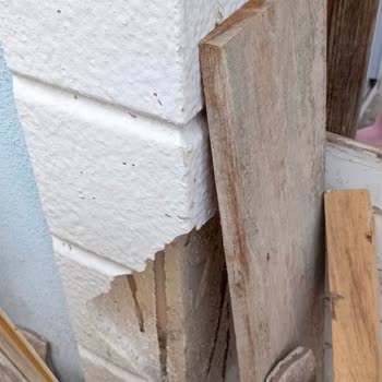 İzmit Belediyesi Komşunun Tavukları Nedeniyle Evimde Yaşadığım Koku, Gürültü Ve Maddi Zararlar