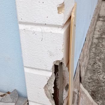 İzmit Belediyesi Komşunun Tavukları Nedeniyle Evimde Yaşadığım Koku, Gürültü Ve Maddi Zararlar