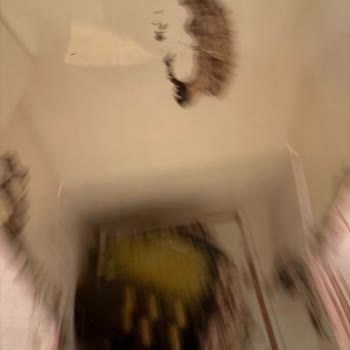 Teslimatta Özensizlik Ve Saygısız Davranış: Pasta Siparişimde Yaşadığım Olumsuz Deneyim