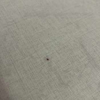 Kısa Sürede Hasar Gören Valencia Yemek Masası İçin Çözüm Sunulmuyor