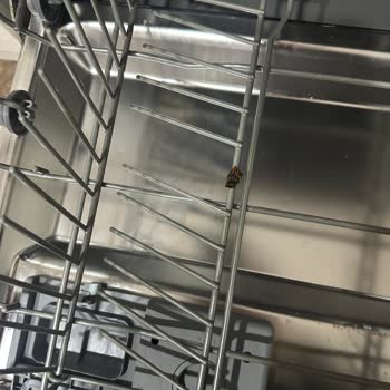 Samsung Bulaşık Makinemin Alt Sepeti İçin Çözüm Bulamıyor, Mağduriyetim Giderilmiyor