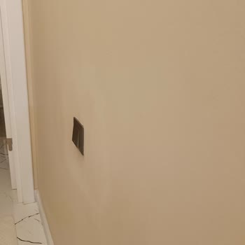 Yeni Boyanan Evde Polisan Elegan Bej Boya Hayal Kırıklığı: Duvarlar Lekeli Ve Dayanıksız