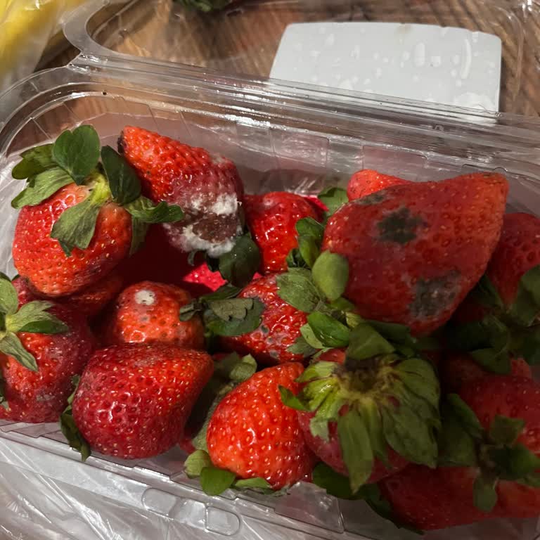 Migros Sanal Market’te Sürekli Bozuk Manav Ürünü Sorunu