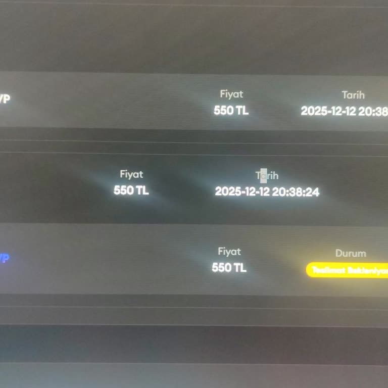 Ödemesi Alınan Valorant VP Anında Teslim Edilmedi, Destek Ve İade Taleplerim Cevapsız Kaldı