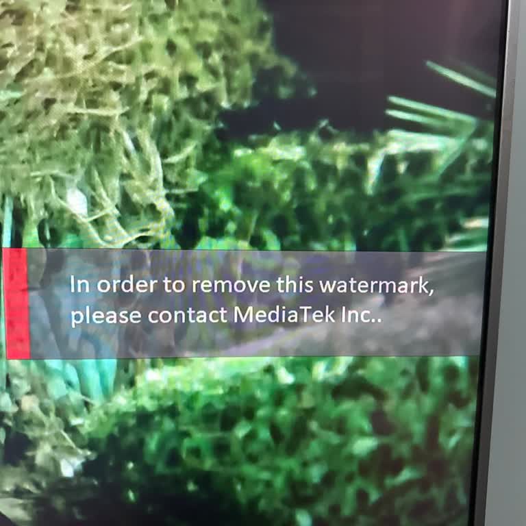 OLED Televizyonda Kalıcı Watermark Sorunu İzleme Keyfini Mahvetti