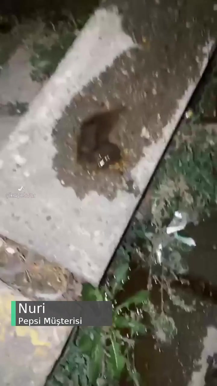Pepsi'den Bilinmedik Cisim Çıkması videonun kapak resmi