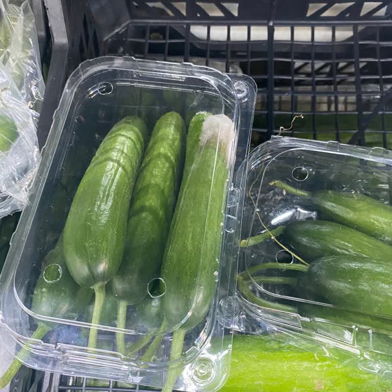 A101 Kırklareli Şubesinde Sebze-Meyve Reyonunda Hijyen Ve Tazelik Sorunu!