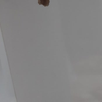 Kullanılmış Ve Deforme Gelen Ürün İçin İade Sürecinde Yaşanan Sorun