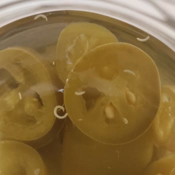 Galle Jalepeno Turşusunda Kurtçuk Çıkması Nedeniyle Sağlık Ve Hijyen Endişesi