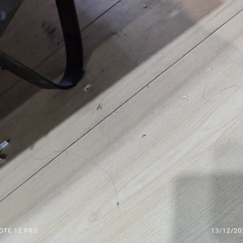 Avist Grup Avist Hotel İstanbul'da Temizlik Ve Hijyen Sorunu