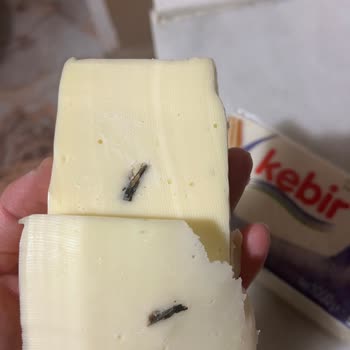 Kebir Kaşar Peynirinden Yabancı Madde Çıktı