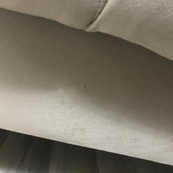 Sıfır Diye Aldığım Mondi Koltuk Takımı Hasarlı Çıktı, Değişim Talebim Reddedildi