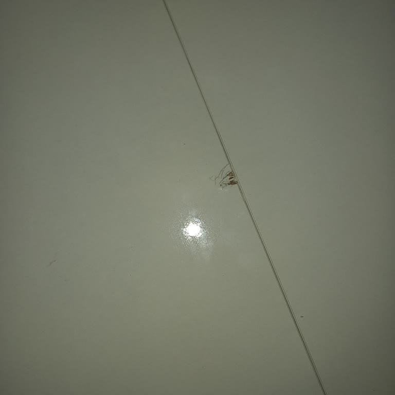 Hasarlı Masa Parçası, Eksik Çözüm Ve Görünmeyen Şikayet: Mağduriyetimin Giderilmesini Talep Ediyorum