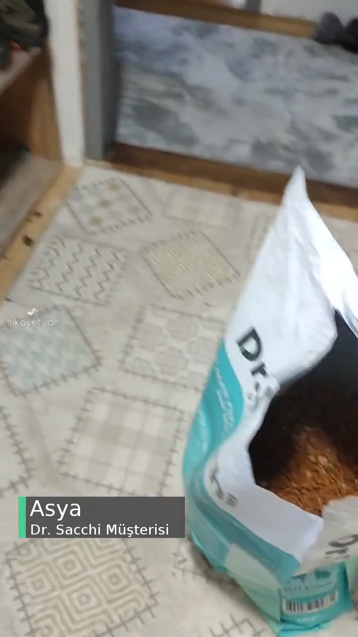 Dr. Sacchi Premium Köpek Maması Küflenmiş videonun kapak resmi