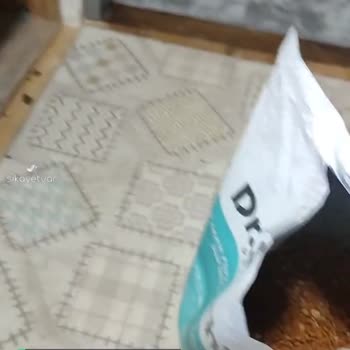 Dr. Sacchi Premium Köpek Maması Küflenmiş