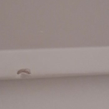 Pierre Cardin Genç Odası Takımında Darbeli Parça Ve Kalite Sorunları Çözülmüyor