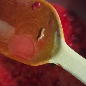 Superfresh Dondurulmuş Frambuazda Kurt Çıkması Ve Mağduriyetimin Giderilmemesi