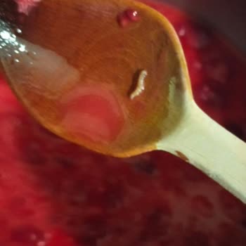 Superfresh Dondurulmuş Frambuazda Kurt Çıkması Ve Mağduriyetimin Giderilmemesi