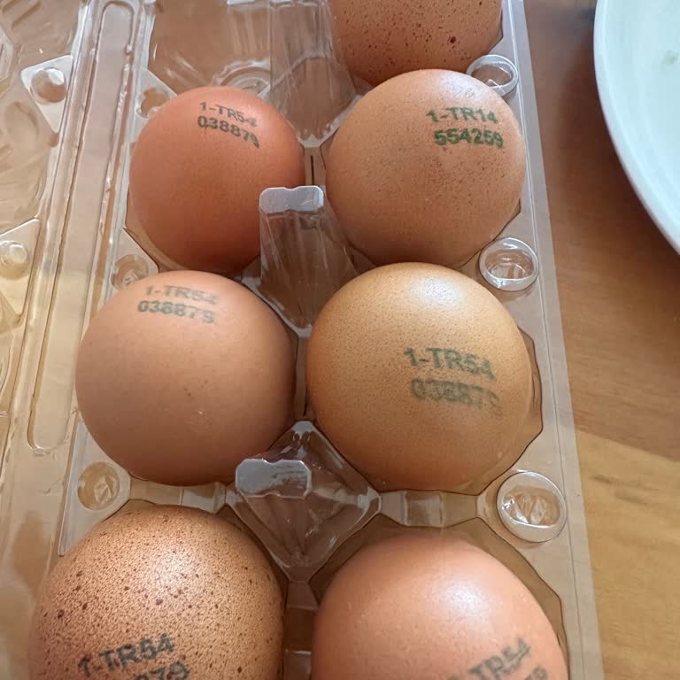 File Marketten Aldığım Yumurtalar Bozuk Çıktı Sağlığımız Riske Girdi