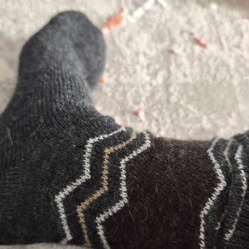 Mısırlı Çorap Aldığım Çoraplar Beklentimi Karşılamadı, Olumsuz Yorumlar Yayınlanmıyor!