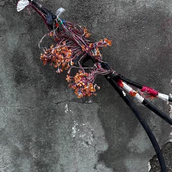 Türk Telekomda 15 Gündür Çözülemeyen İnternet Kesintisi Mağduriyeti