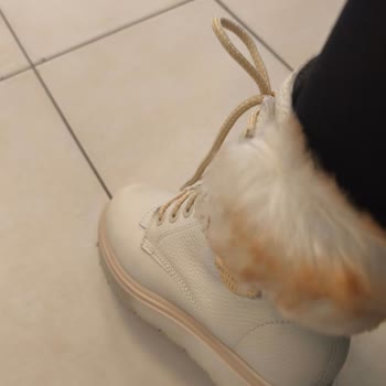 Kışlık Harley Davidson Bot Kayganlığı Sağlığımı Tehlikeye Attı