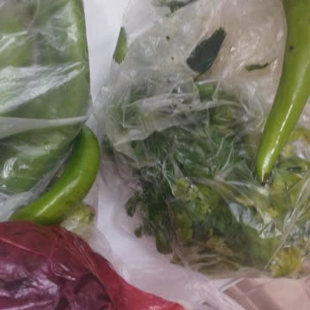 Bosch Buzdolabım Yiyecekleri Hızla Bozuyor, Çözüm İçin Kalıcı Destek Bekliyorum