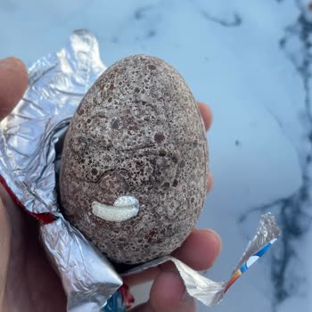 Aldığım Şölen Ozmo Sürpriz Yumurtalar Bozuk Çıktı, Hayal Kırıklığı Yaşadım