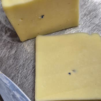 Binvezir Peynir BİM'den Aldığım Kaşar Peynirinde Plastik Parça Çıkması Ve Güvenlik Endişesi