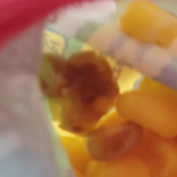 Dondurulmuş Mısırda Çürük Ve Küflü Taneler Çıktı