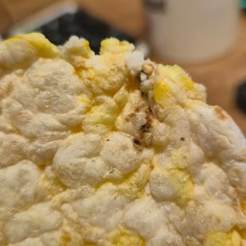 Aldığım Eti Gong Ürününde Hijyen Sorunu Ve Müşteri Hizmetlerinden Yanıtsızlık