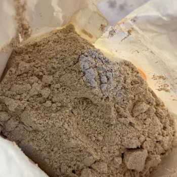 Son Kullanma Tarihi Geçmemiş Unda Güve Ve Kurt Şoku, Hijyen Endişesi Yaşıyorum