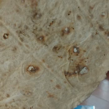 Eyvallah Unlu Mamülleri Yufkada Küf Olması