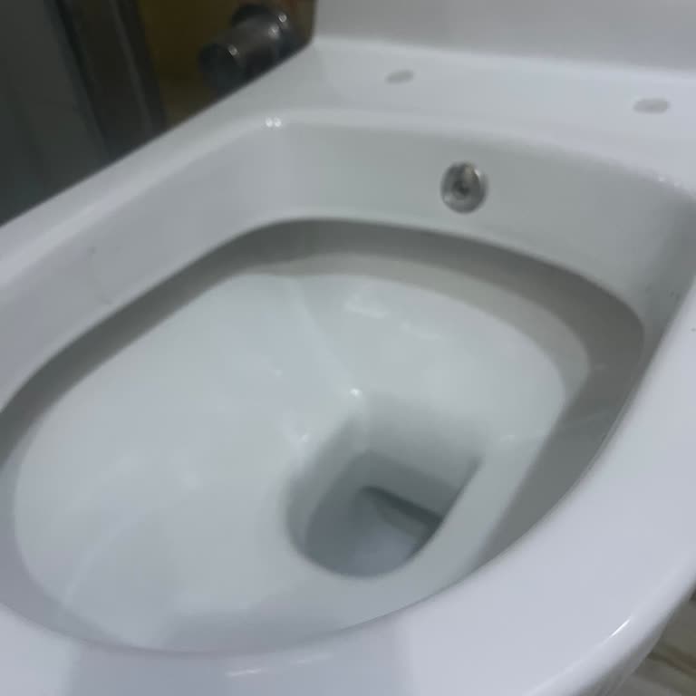 Kullanılmış Klozet Takılması Ve Hizmet Sonrası İletişimsizlik