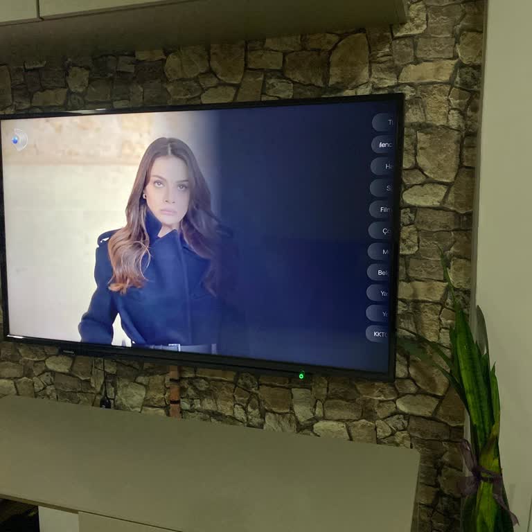 Güncelleme Sonrası TV Plus Pro Cihazımda Kanal Listesi Sorunu Ve Yetersiz Müşteri Hizmeti