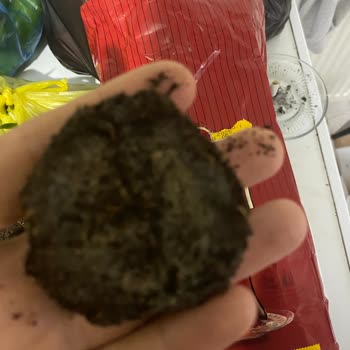 A101'den Aldığım Çaykur Çayda Bayatlık Ve Küflenme Problemi