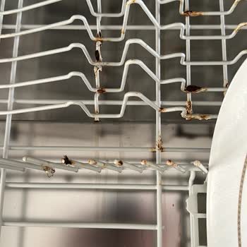 Miele Bulaşık Makinesi Sepetinde Yıllardır Çözülemeyen Paslanma Sorunu