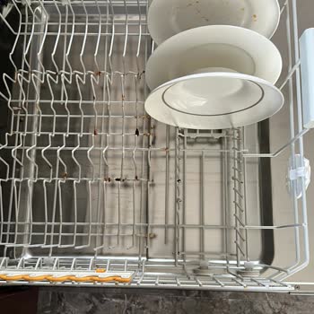 Miele Bulaşık Makinesi Sepetinde Yıllardır Çözülemeyen Paslanma Sorunu