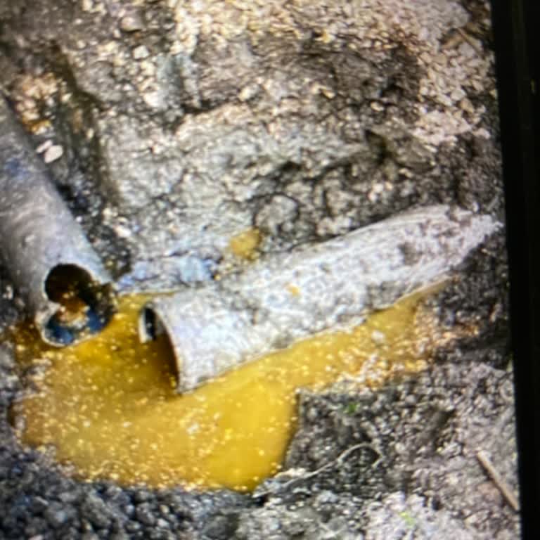 Tuvalet Gideri Tıkalı Belediye İlgisizliği Mağdur Ediyor