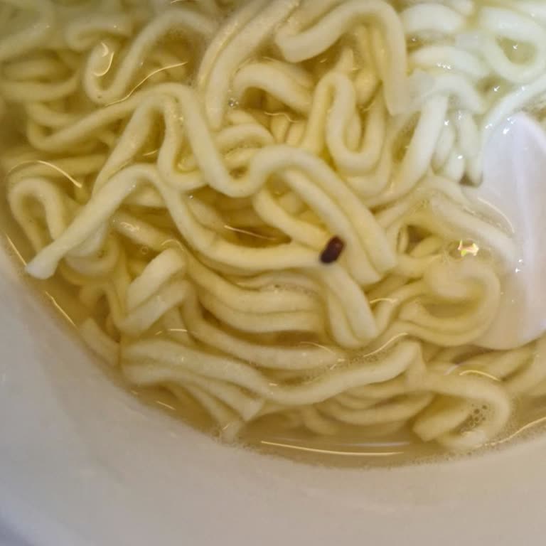 Noodle Ürününde Böcek Çıkması Güvenimi Sarstı