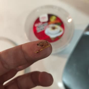 Hazır Çorbadan Çıkan Saman Ve Hijyen Sorunlarıyla Hayal Kırıklığı Yaşadım