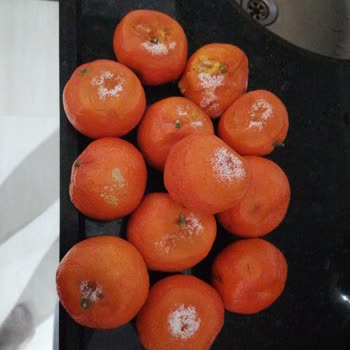 Migros Sanal Marketten Çürük Meyve Ve Erimiş Ürün Mağduriyeti Yaşadım