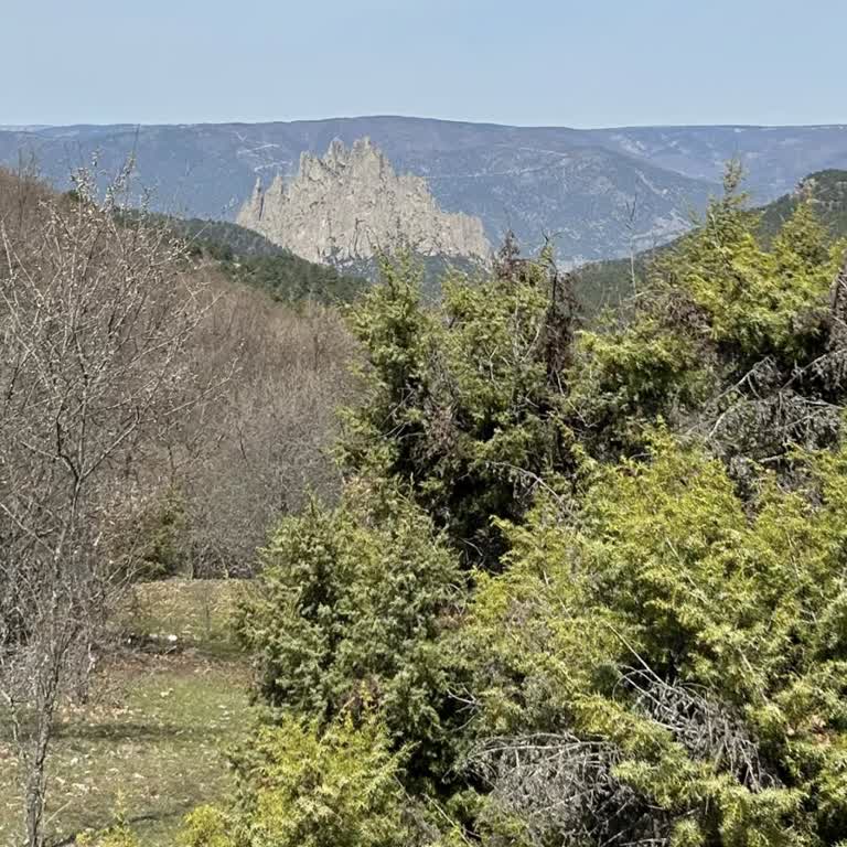 Eskişehir'de Sürekli Şebeke Sorunu: Görmezden Gelinen Mağduriyet